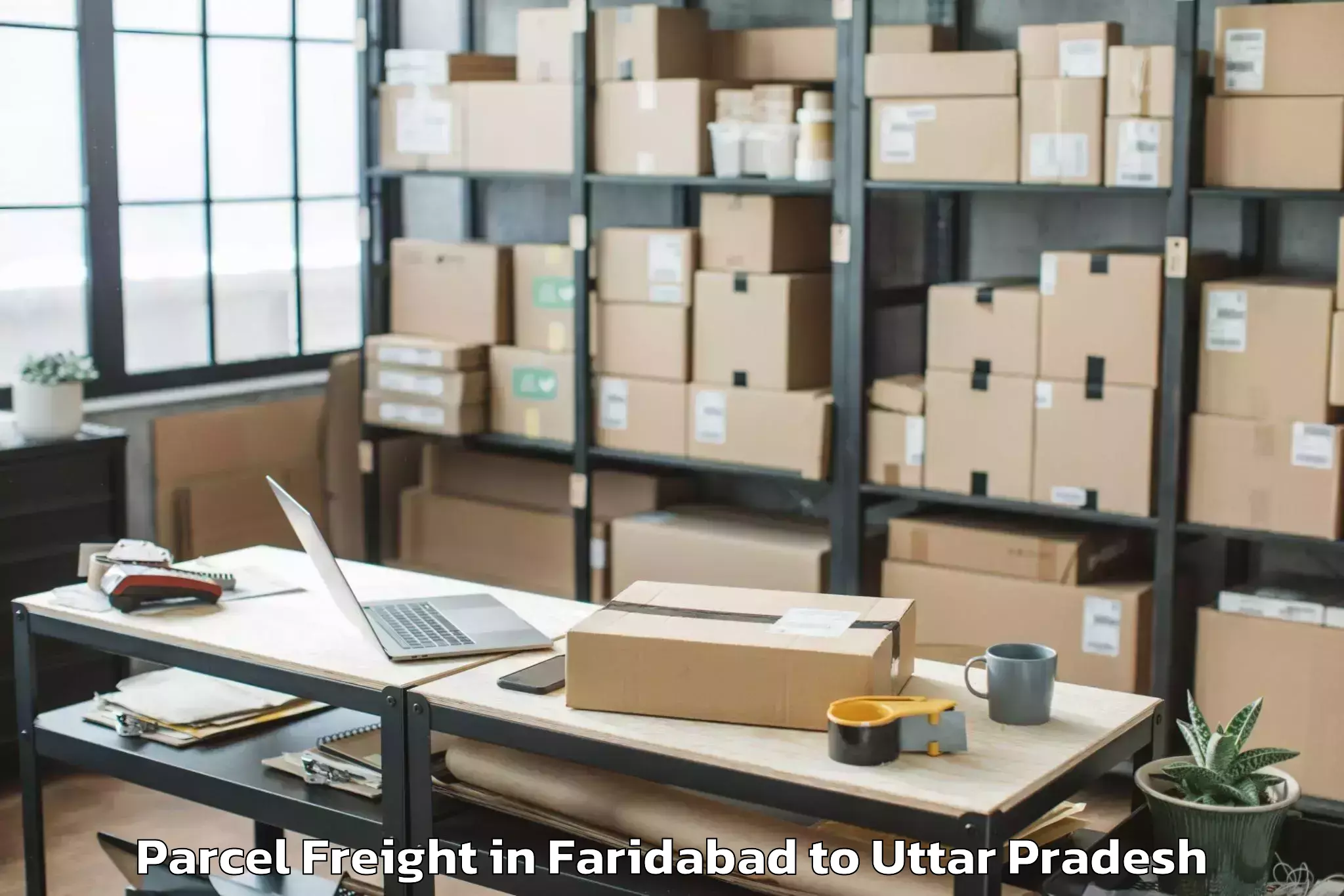 Get Faridabad to Kasganj Parcel Freight